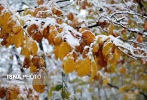 کاهش ۶ تا ۱۳ درجه ای دما در گیلان/ بارش موقتی برف در نواحی جلگه ای