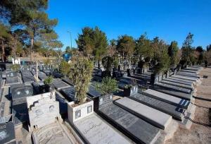 ثبت ۴۵۸ هزار واقعه فوت در سال ۱۴۰۳ در کشور