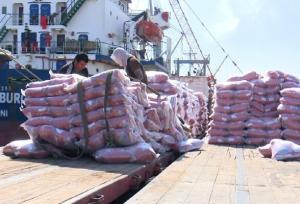 تخلیه و بارگیری هزار و ۲۰۰ تن برنج پاکستانی در هرمزگان