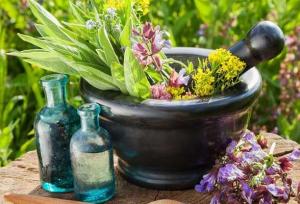 توسعه کشت گیاهان دارویی؛ راهکاری موثر برای کاهش مصرف آب