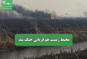 محیط زیست هم قربانی جنگ شد