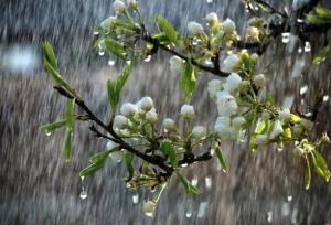 ۶۴۰ میلی متر بارندگی در مازندران ثبت شد
