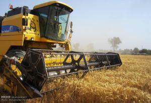 خرید تضمینی گندم با قیمت مصوب ۲۰۵۰۰ تومان به ازای هر کیلوگرم در سمنان