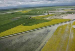 پرداخت حدود ۵۰۰ میلیارد تومان غرامت به کشاورزان خسارت‌دیده کردستانی