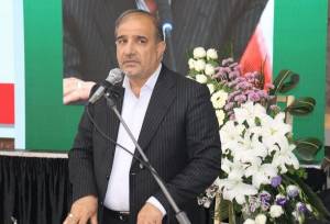 دام‌ها در مزارع سبز گندم در حال چرا هستند