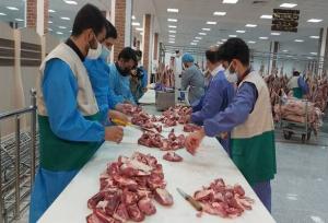 حدود ۸۵ هزار قربانی حج، به دست ۷۴ ذابح باتجربه ایرانی انجام شد