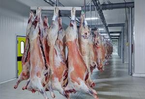 رشد ۲ درصدی عرضه گوشت قرمز در کشتارگاه‌های رسمی