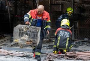 آتش سوزی در بازار بزرگ/ صدها حیوان خانگی در قفس تلف شدند + عکس