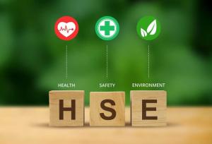 ضرورت ایجاد پایگاه داده ملی HSE