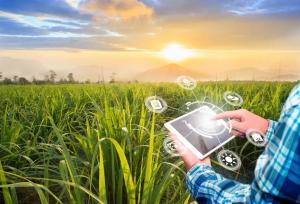  نجات آب با کلید هوشمند کشاورزی