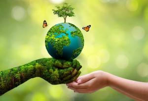 ۶ استان با یک هدف محیط زیستی؛ نجات طبیعت با فناوری‌های روز