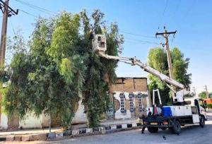 هرس بیش از ۱۲ هزار اصله درخت متداخل با شبکه برق در اهواز