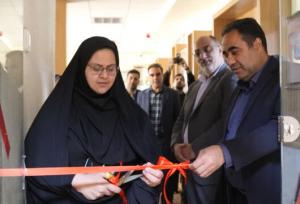 افتتاح ۲ طرح اشتغالزایی در زرند/ بازدید مسئولان استانی از واحدهای کارآفرینی بانوان