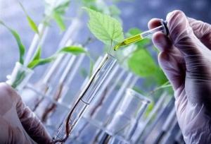 ۲۵ سال تلاش برای ترویج علم؛ روایت عشق به دانایی