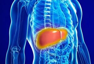 فوق تخصص گوارش: «رزمتیروم» برای تمام افراد مبتلا به کبدچرب توصیه نمی‌شود