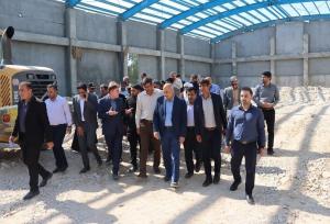 زارع: اعتبار پروژه‌های مدرسه‌سازی استان بوشهر تأمین می‌شود