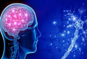 حمایت از توسعه فناوری‌های عصبی و شناختی در قالب سرمایه‌گذاری خطرپذیر