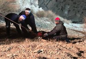 سقوط مرگبار خودرو به دره ۱۷ متری؛ ۲ زن جان باختند