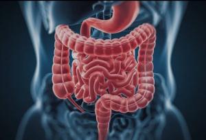 شیوع مشکلات گوارشی در دوران یائسگی