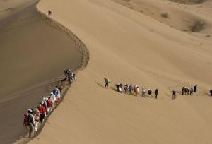 افزایش سفر گردشگران به میراث جهانی بیابان لوت