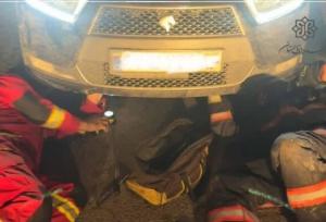 گربه بازیگوش آتش‌نشانان را به عملیات کشاند/ لزوم بازرسی بصری خودرو در فصول سرد