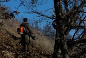 آخرین کانون آتش سوزی جنگل‌های دیزمار آذربایجان‌شرقی لکه گیری شد