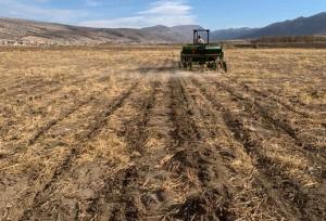 آغاز عملیات کاشت نخود پاییزه در ایوان با روش کشت مستقیم