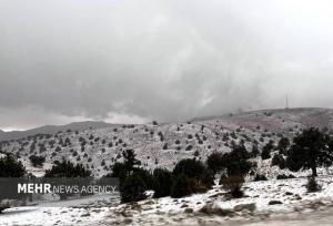 تصاویری از بارش برف در ارتفاعات شهر زنجان