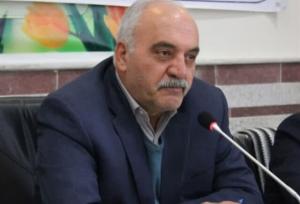 نماینده رزن: مردم برای مسکن ملی زمین هموار می‌خواهند