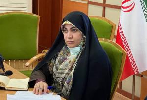 لزوم اقدام هماهنگ دولت وشهرداری تهران درباره مسافربرهای شخصی