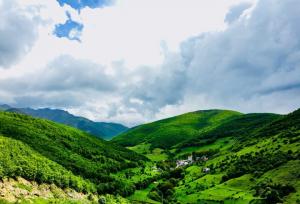 سفر به سرزمین قلعه‌ها و جنگل‌های مه‌آلود