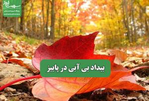 بیداد بی آبی در پاییز