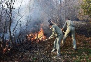 رئیس اداره منابع طبیعی و آبخیزداری شهرستان: ۲۰۰۰ هکتار از جنگل‌های سوادکوه در آتش سوخت