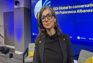 آلبانیز: عضویت اسرائیل در سازمان ملل باید تعلیق شود