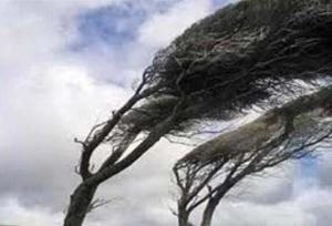 تندباد ۹۴ کیلومتری اردبیل را در نوردید