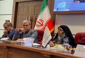 دستجردی: ۸۷ درصد جوانان ۱۸ تا ۳۵ ساله تمایل به صفر تا دو فرزند دارند