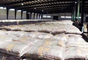 ورود بیش از ۱۰۰۰ تن برنج وارداتی برای تقویت امنیت غذایی مازندران
