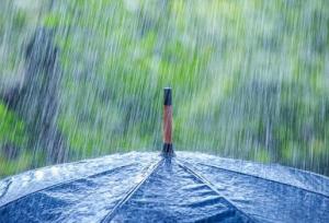 ارغوانی: بارش‌های قابل توجه در کاشان و آران و بیدگل در راه است