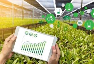بدون تقویت منابع بانکی، توسعه کشاورزی ممکن نیست