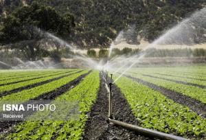 فرماندار: جایگزینی سیستم‌های نوین آبیاری با روش‌های سنتی در کشاورزی ابهر ضروری است