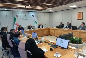 عارف: بنیاد مستضعفان رقیب دولت نیست