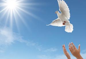 آزادی ۲۲۳ زندانی جرایم غیرعمد در گلستان