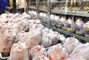 تولید و توزیع مرغ گوشتی به اتحادیه مرغداران گوشتی واگذار می‌شود