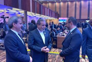 دیدار عراقچی با وزیرخارجه ونزوئلا