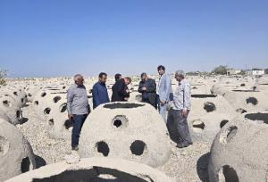 قورچی زاده: اسکله کوهستک موتور توسعه دریا محور است