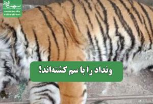 ونداد را با سم کشته‌اند!