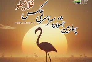 فلامینگوها در قاب هنر/ پوستر جشنواره‌ای برای حفاظت از میانکاله رونمایی شد