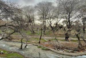 «چشمه قدمگاه» در فارس به عنوان اثر طبیعی ملی ثبت شد