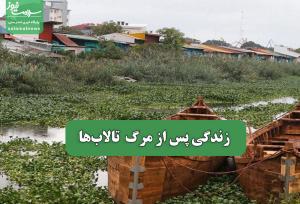 زندگی پس از مرگ  تالاب‌ها