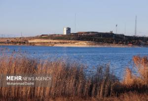 مهدی آقایی: ارتقای جایگاه محیط‌زیست در حقوق عامه ضروری است